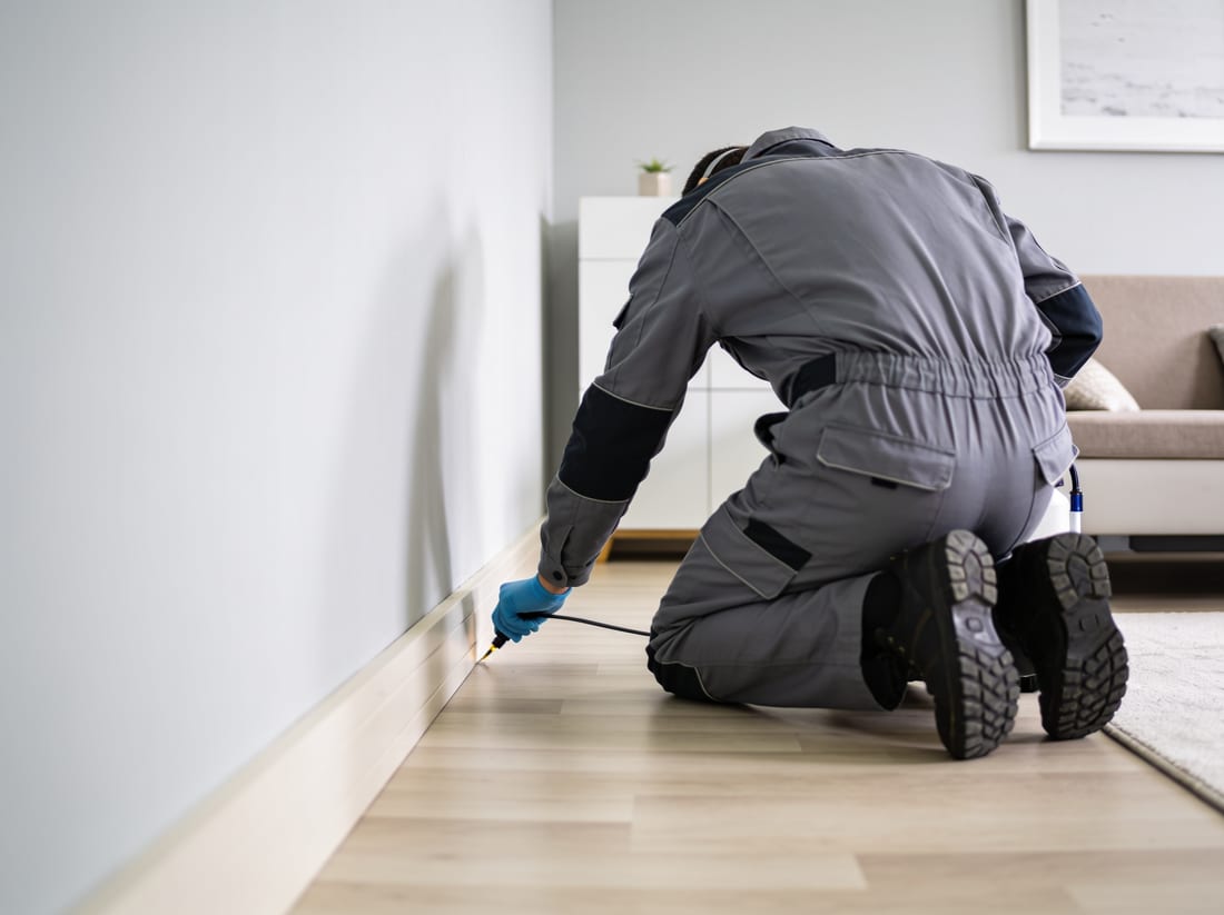 Técnico de Termicor realizando un tratamiento contra plagas en una vivienda de Mallorca
